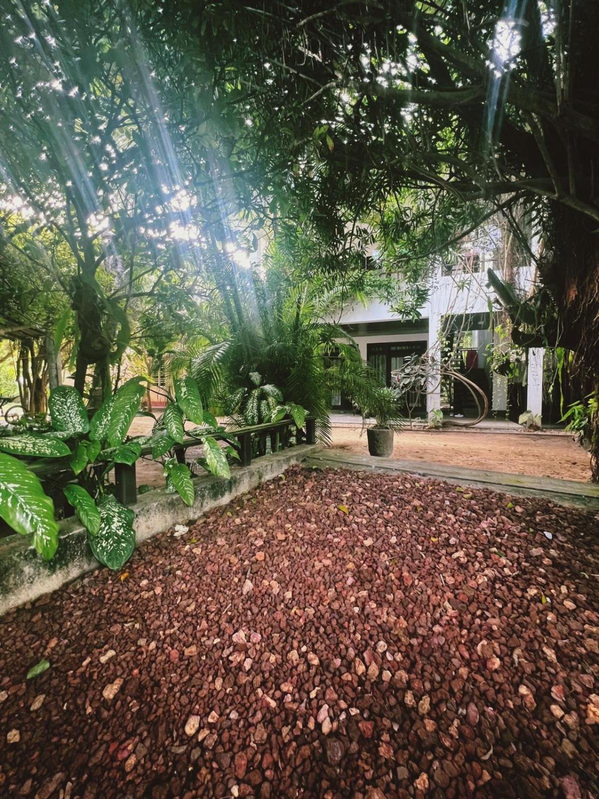 Villa A & A Hikkaduwa Extérieur photo